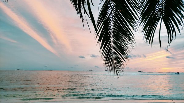 Quelles tendances influencent le comportement des voyageurs post-pandémie ?